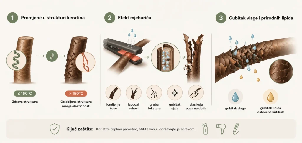 Infografika koja prikazuje kako toplina oštećuje kosu kroz promjene keratina, efekt mjehurića i gubitak vlage.